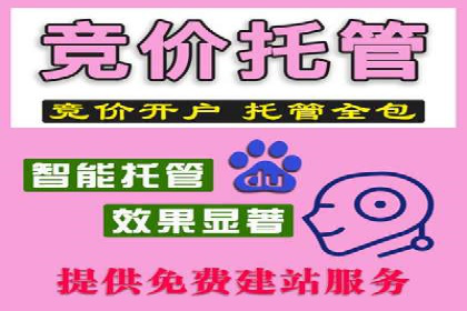 案例分享：信息流广告投放策略实战技巧